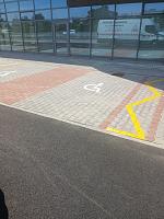 WhatsApp Image 2026-02-27 at 11.20.54